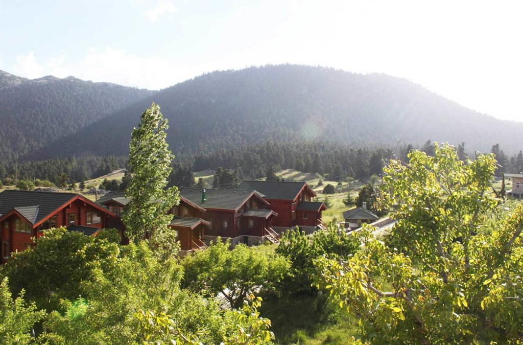 Boutique Hotel Skamnos Aráhova Kültér fotó