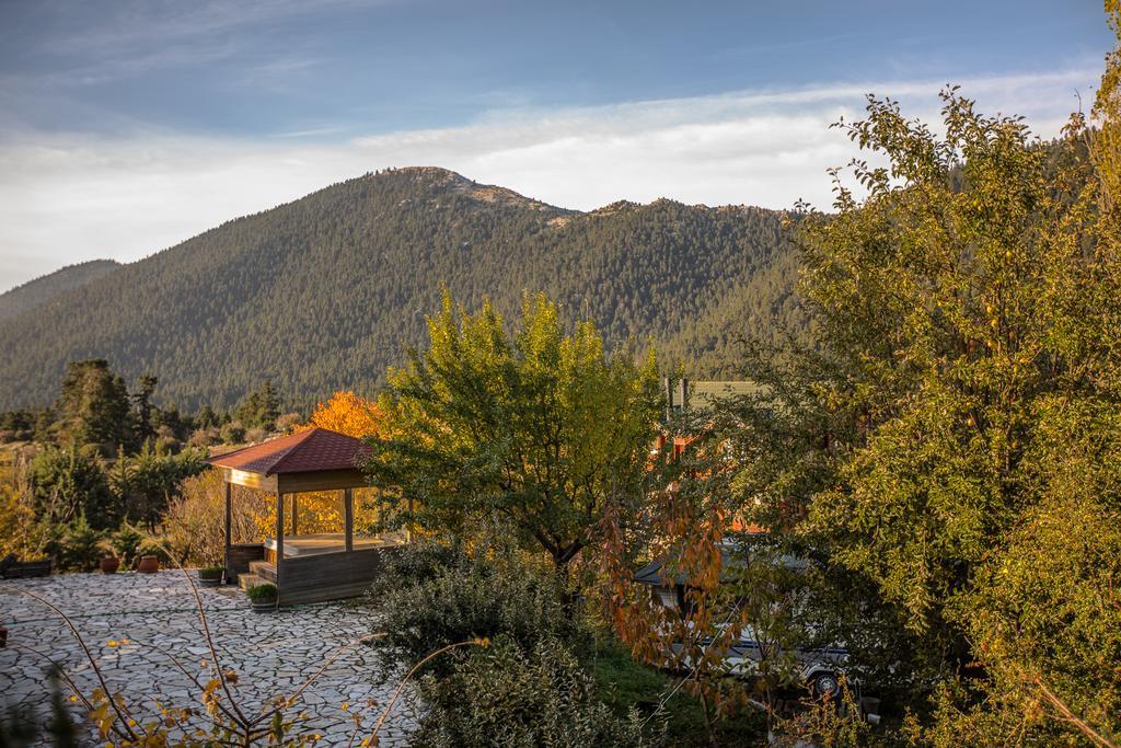 Boutique Hotel Skamnos Aráhova Kültér fotó